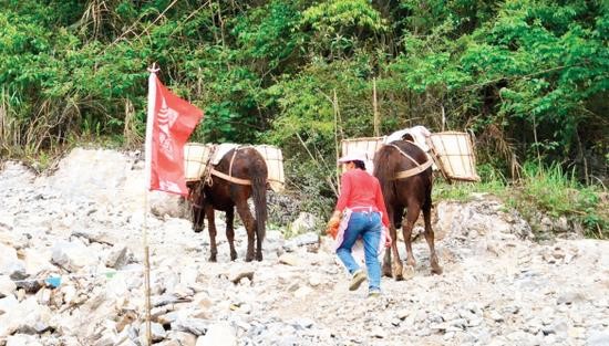 神农架骡子运输队